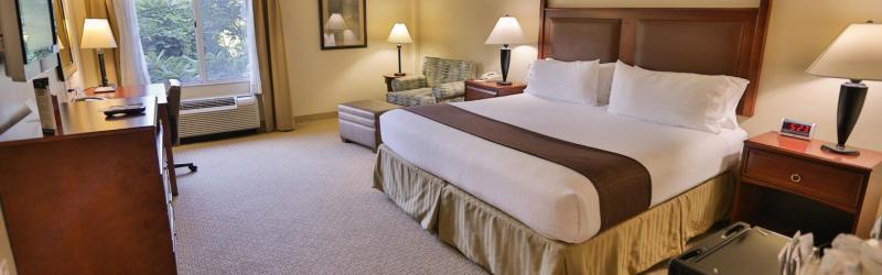 Holiday Inn Express & Suites Asheville Downtown By Ihg Exterior photo